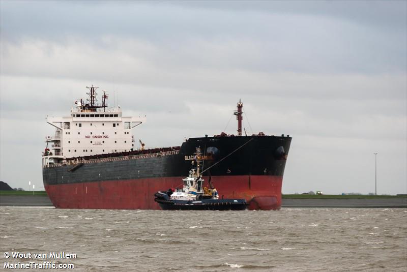 black pearl (Bulk Carrier) - IMO 9579743, MMSI 538004184, Call Sign V7VQ2 under the flag of Marshall Islands