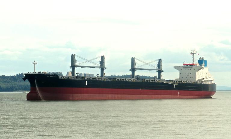 cd huelva (Bulk Carrier) - IMO 9874272, MMSI 563105100, Call Sign 9V6478 under the flag of Singapore