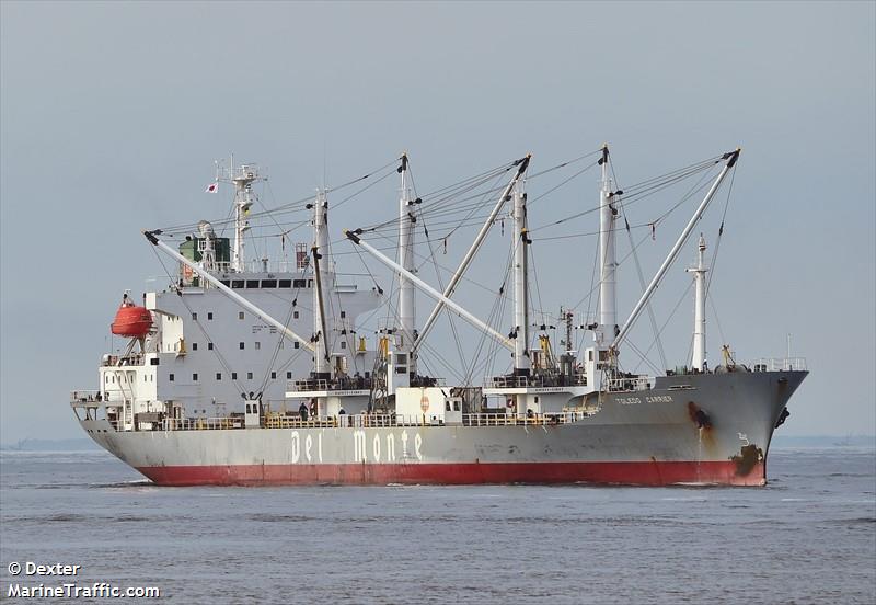 toledo carrier (Refrigerated Cargo Ship) - IMO 9078476, MMSI 636014596, Call Sign A8VE9 under the flag of Liberia