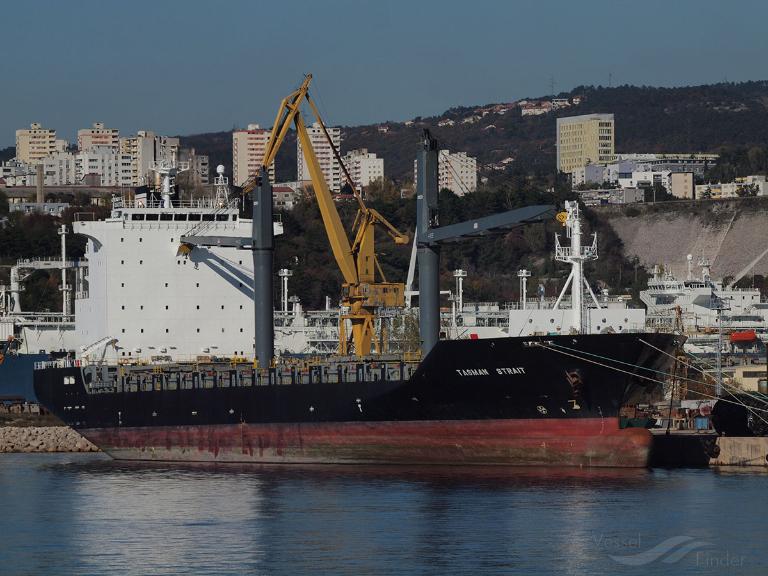 tasman strait (Container Ship) - IMO 9351218, MMSI 636092855, Call Sign D5QU5 under the flag of Liberia