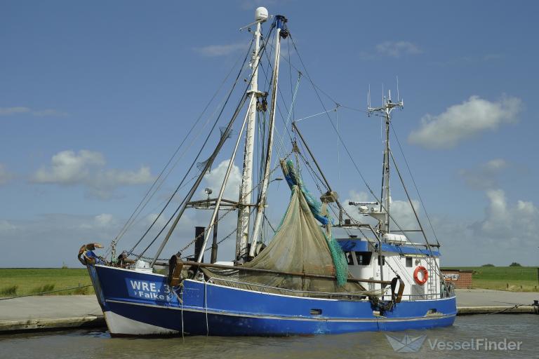 falke (Fishing vessel) - IMO , MMSI 211639000, Call Sign DESJ under the flag of Germany