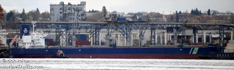 world virtue (Bulk Carrier) - IMO 9860374, MMSI 232027404, Call Sign MHGI3 under the flag of United Kingdom (UK)