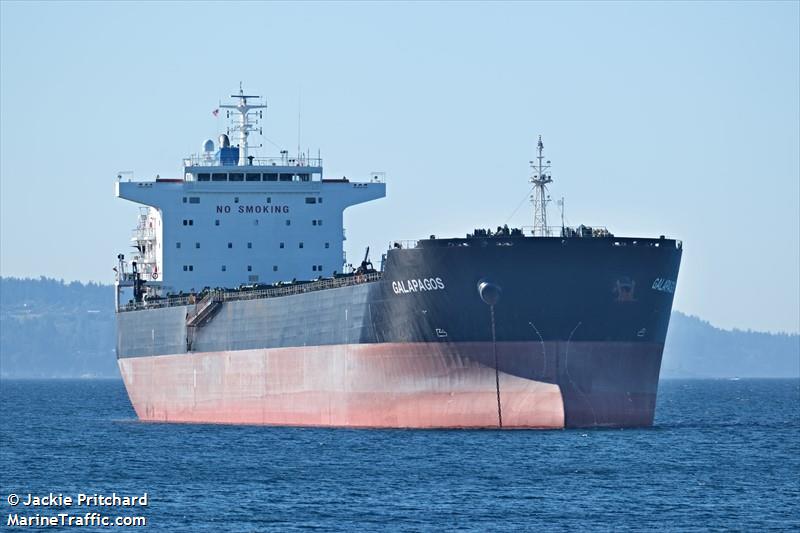 galapagos (Bulk Carrier) - IMO 9473169, MMSI 248146000, Call Sign 9HA2204 under the flag of Malta