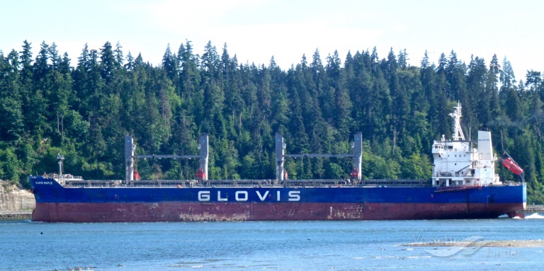 glovis maple (Bulk Carrier) - IMO 9607019, MMSI 311064900, Call Sign C6ZS6 under the flag of Bahamas