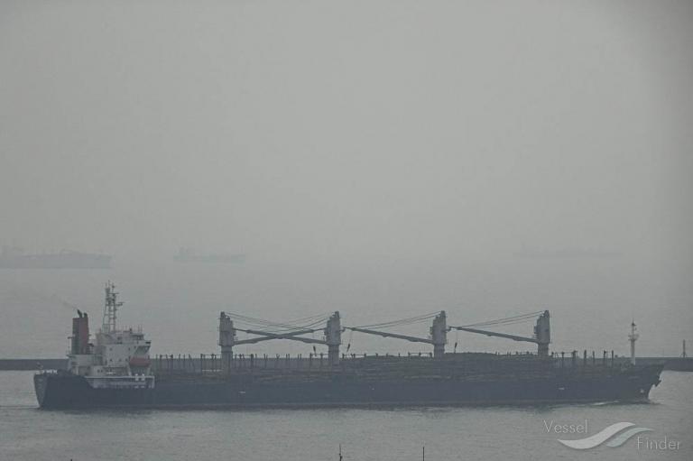 microstep (Bulk Carrier) - IMO 9125918, MMSI 351825000, Call Sign H3NC under the flag of Panama