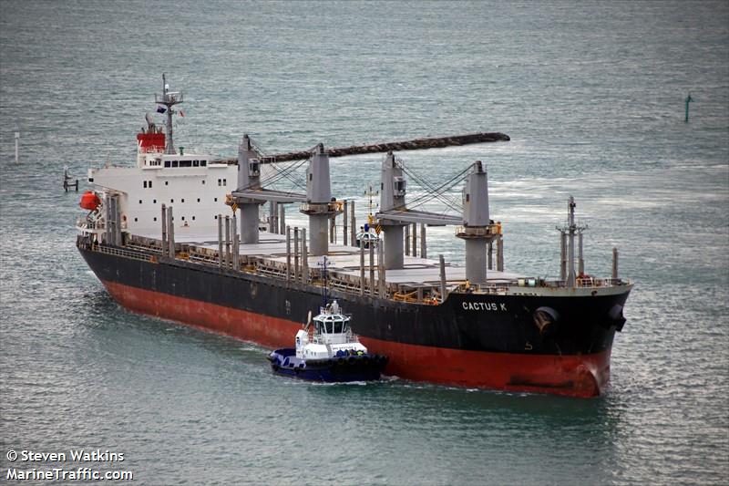 cactus k (Bulk Carrier) - IMO 9524669, MMSI 371229000, Call Sign 3FVL8 under the flag of Panama