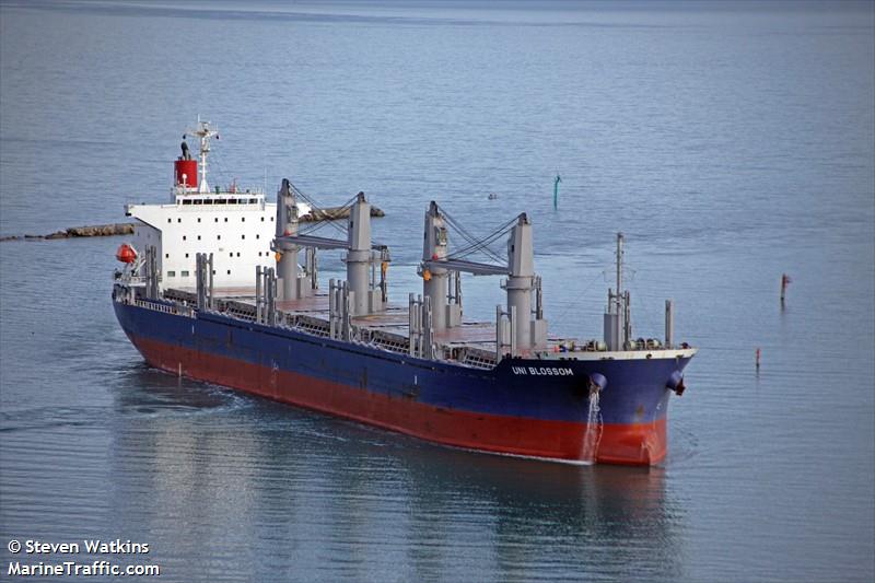 uni blossom (Bulk Carrier) - IMO 9816567, MMSI 477147300, Call Sign VRRH4 under the flag of Hong Kong