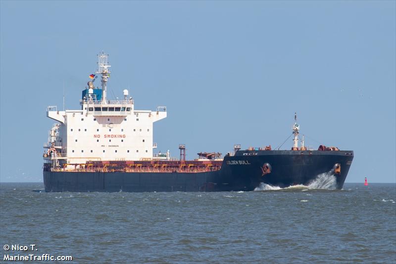 golden bull (Bulk Carrier) - IMO 9438626, MMSI 477700600, Call Sign VRKC7 under the flag of Hong Kong