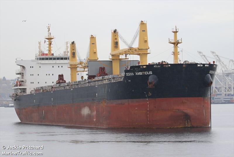 ocean ambitious (Bulk Carrier) - IMO 9740079, MMSI 477900400, Call Sign VRPG4 under the flag of Hong Kong