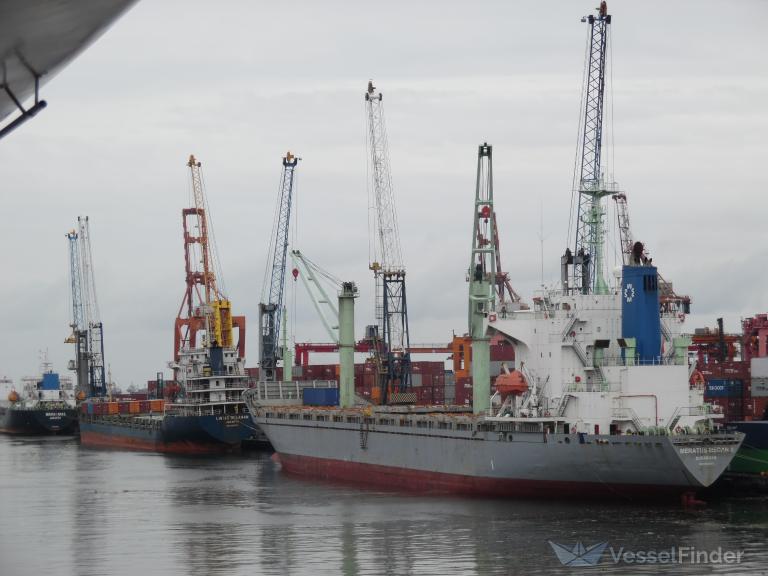 meratus medan 1 (Container Ship) - IMO 9146651, MMSI 525025054, Call Sign PNEM under the flag of Indonesia