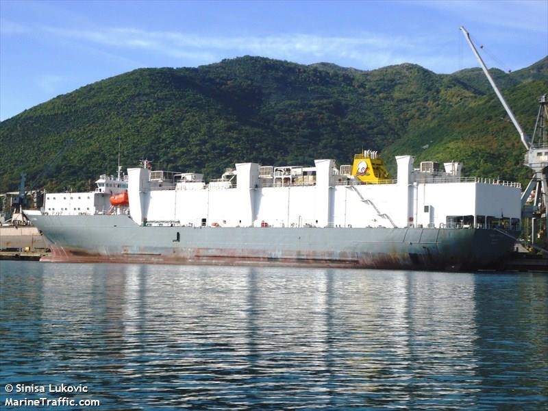 ocean ute (Livestock Carrier) - IMO 9074925, MMSI 538004024, Call Sign V7UT5 under the flag of Marshall Islands