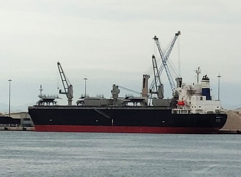 maple (Wood Chips Carrier) - IMO 9811543, MMSI 538007822, Call Sign V7DU3 under the flag of Marshall Islands