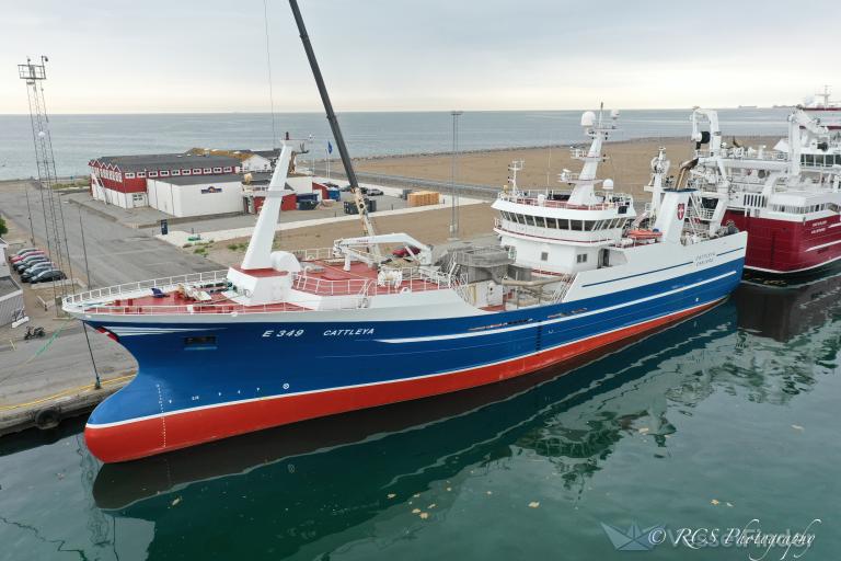 cattleya (Fishing Vessel) - IMO 9636046, MMSI 219017843, Call Sign OUTT under the flag of Denmark