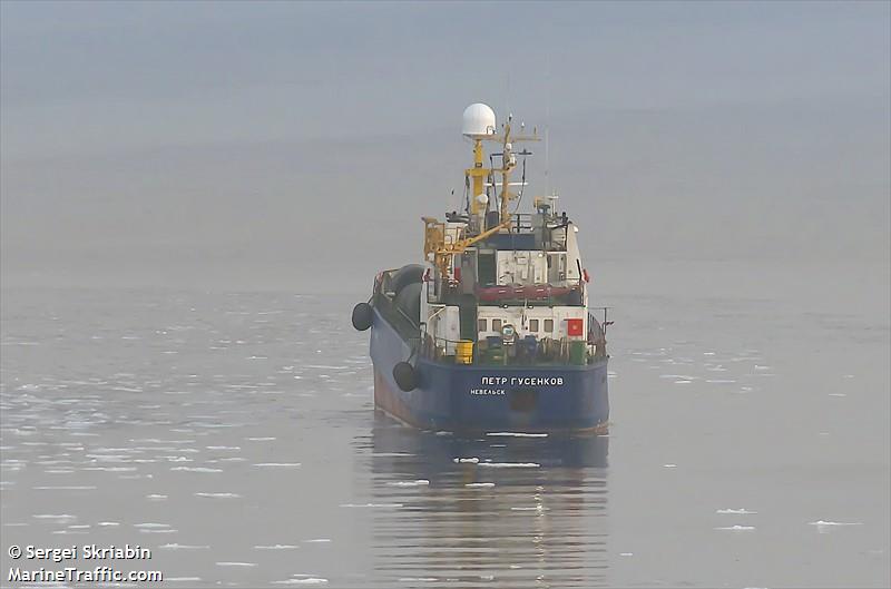 pyotr gusenkov (Refrigerated Cargo Ship) - IMO 9060819, MMSI 273426000, Call Sign UCFS under the flag of Russia