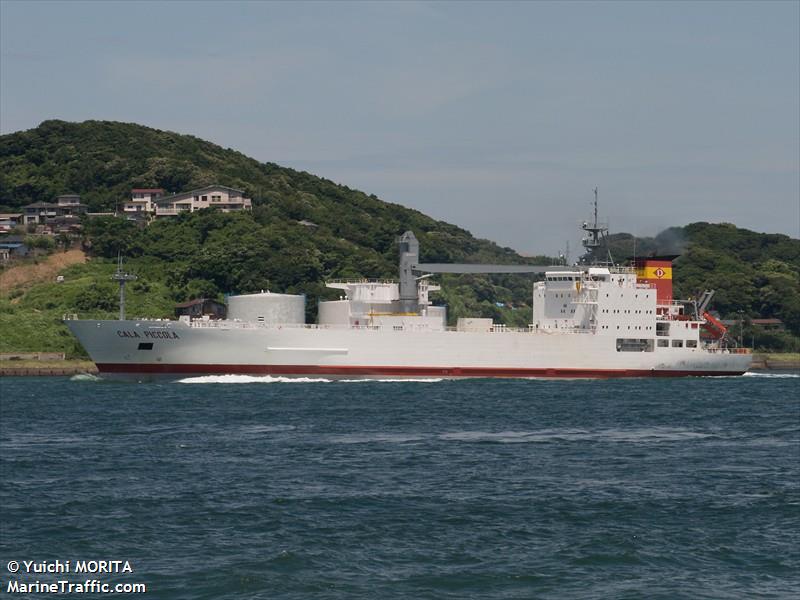 cala piccola (Refrigerated Cargo Ship) - IMO 8705668, MMSI 306337000, Call Sign PJBZ under the flag of Curacao