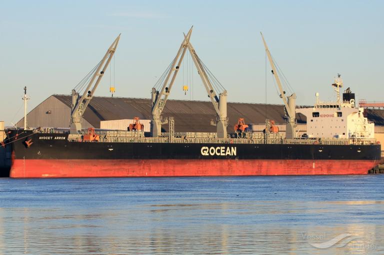 avocet arrow (General Cargo Ship) - IMO 9448255, MMSI 311000462, Call Sign C6CG2 under the flag of Bahamas