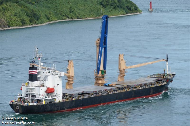 new courage (General Cargo Ship) - IMO 9074030, MMSI 354675000, Call Sign 3FAS6 under the flag of Panama