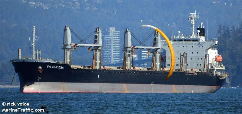 silver oak (Bulk Carrier) - IMO 9811921, MMSI 356912000, Call Sign H3YS under the flag of Panama