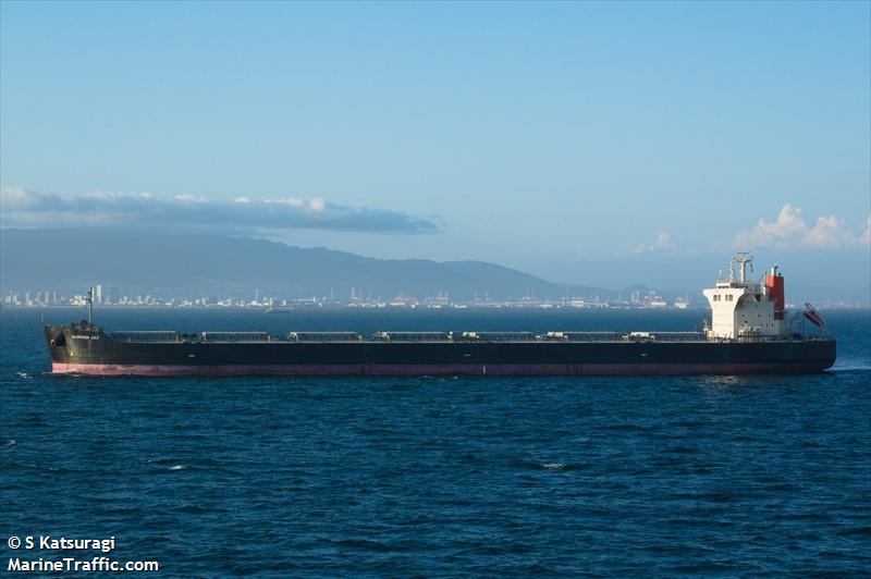 gloriosa lily (Bulk Carrier) - IMO 9499084, MMSI 373101000, Call Sign 3FWE4 under the flag of Panama