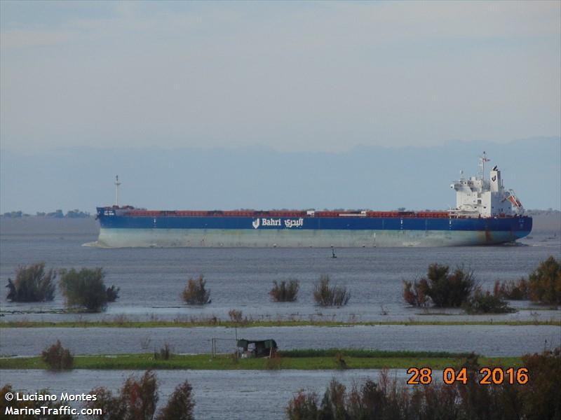 bahri grain (Bulk Carrier) - IMO 9660528, MMSI 403517000, Call Sign HZFL under the flag of Saudi Arabia