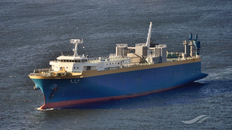 koyo maru (Vehicles Carrier) - IMO 9279604, MMSI 431401953, Call Sign JI3710 under the flag of Japan