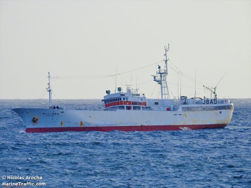 kineimaru no.81 (Fishing Vessel) - IMO 9125322, MMSI 431753000, Call Sign JBAD under the flag of Japan