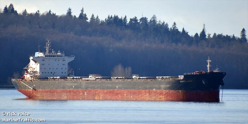 egret oasis (Bulk Carrier) - IMO 9592006, MMSI 477224700, Call Sign VRLT3 under the flag of Hong Kong