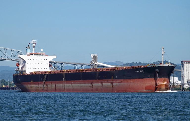 magic moon (Bulk Carrier) - IMO 9336036, MMSI 538007474, Call Sign V7JR9 under the flag of Marshall Islands