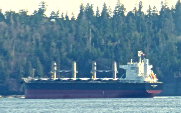 jal kamal (Bulk Carrier) - IMO 9875056, MMSI 538008820, Call Sign V7A2799 under the flag of Marshall Islands