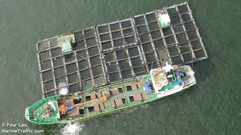 ocean king (Cargo ship) - IMO 8904599, MMSI 542350110, Call Sign E6LK2 under the flag of Niue