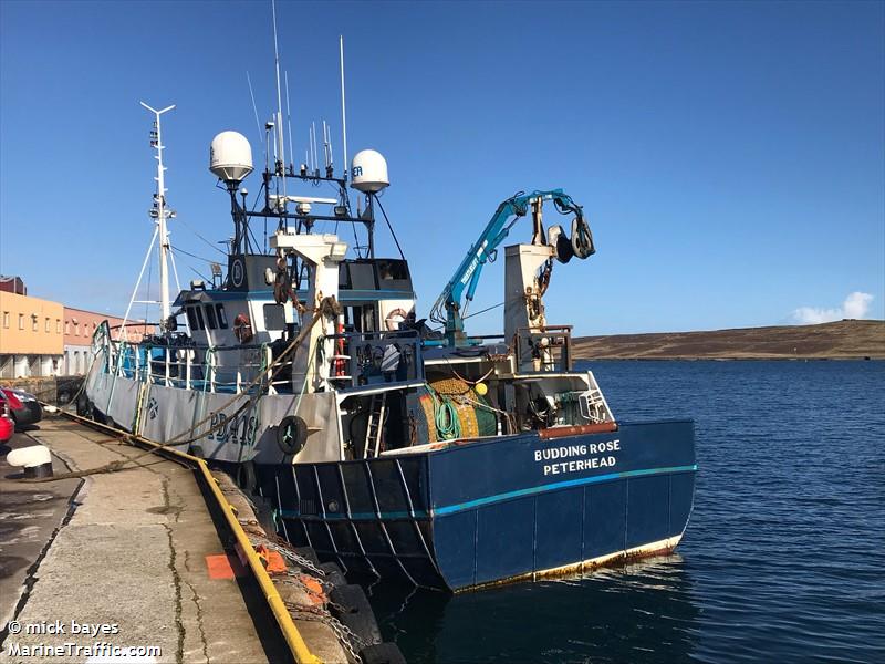 fv budding rose (Fishing Vessel) - IMO 8919726, MMSI 233661000, Call Sign MMEV2 under the flag of United Kingdom (UK)