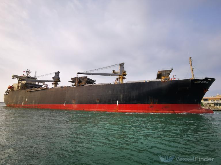 siam ocean (Wood Chips Carrier) - IMO 9123934, MMSI 355192000, Call Sign 3FFE5 under the flag of Panama