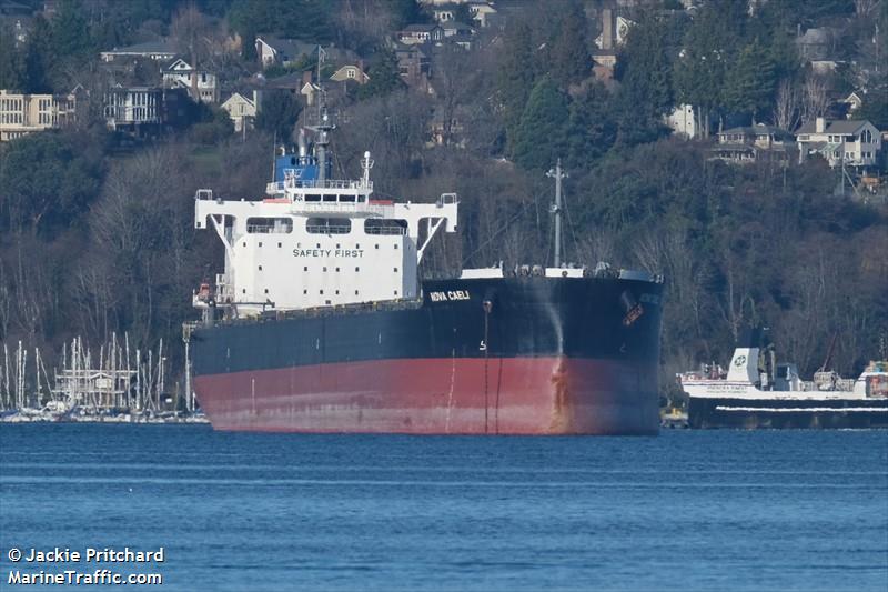 nova caeli (Bulk Carrier) - IMO 9836414, MMSI 372198000, Call Sign 3FBW5 under the flag of Panama