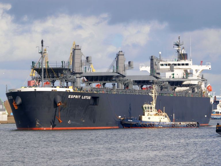 esprit lotus (Wood Chips Carrier) - IMO 9343443, MMSI 372394000, Call Sign 3EIT6 under the flag of Panama