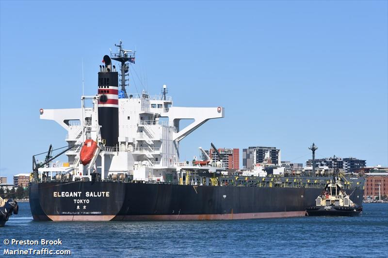 elegant salute (Bulk Carrier) - IMO 9641871, MMSI 432898000, Call Sign 7JNQ under the flag of Japan