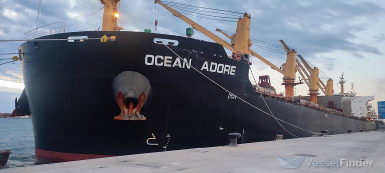 ocean adore (Bulk Carrier) - IMO 9740122, MMSI 477131800, Call Sign VRRE5 under the flag of Hong Kong