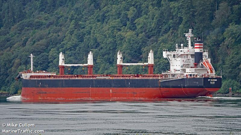 cf diamond (Bulk Carrier) - IMO 9727455, MMSI 538006995, Call Sign V7JH8 under the flag of Marshall Islands