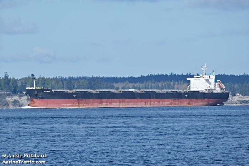 scorpio (Bulk Carrier) - IMO 9641704, MMSI 538008243, Call Sign V7A2132 under the flag of Marshall Islands