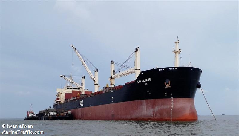 ikan parang (Bulk Carrier) - IMO 9578787, MMSI 566238000, Call Sign 9V9099 under the flag of Singapore