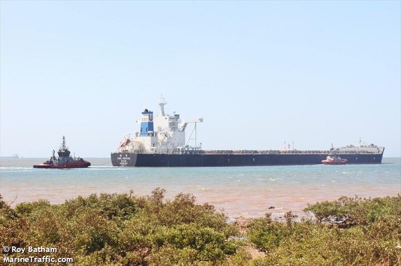 cape neptune (Bulk Carrier) - IMO 9593074, MMSI 566856000, Call Sign 9V9972 under the flag of Singapore