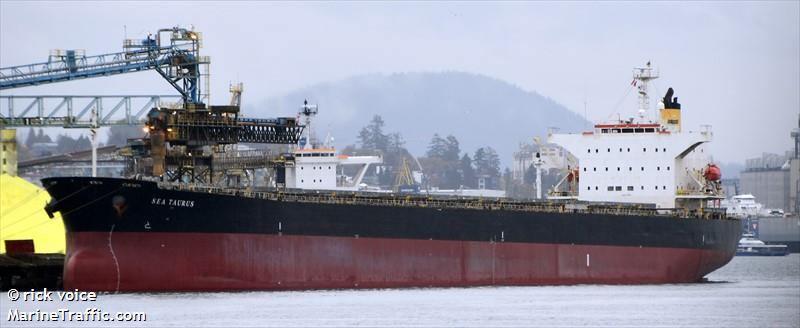 sea taurus (Bulk Carrier) - IMO 9273818, MMSI 636015148, Call Sign A8YX5 under the flag of Liberia