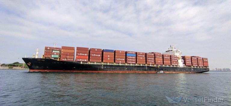 navios felicitas (Container Ship) - IMO 9395953, MMSI 636018471, Call Sign A8UE8 under the flag of Liberia