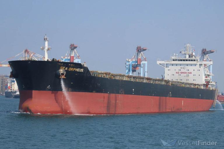 sea orpheus (Bulk Carrier) - IMO 9609287, MMSI 249304000, Call Sign 9HA4190 under the flag of Malta