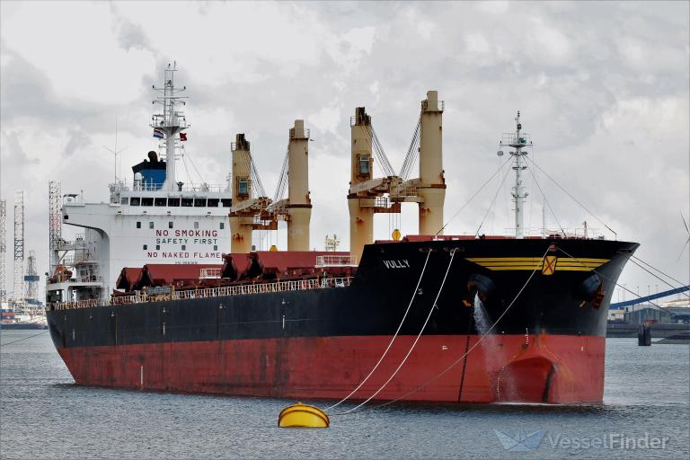 vully (Bulk Carrier) - IMO 9583691, MMSI 269144000, Call Sign HBDY under the flag of Switzerland