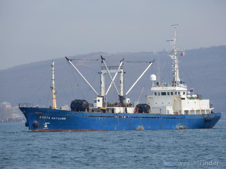 bukhta natalii (Refrigerated Cargo Ship) - IMO 7929786, MMSI 273358660, Call Sign UBNI6 under the flag of Russia