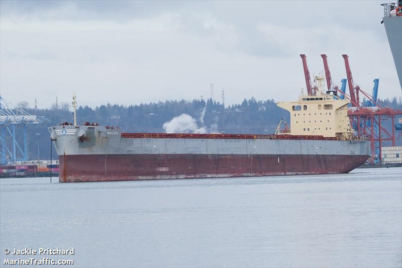 balos (Bulk Carrier) - IMO 9825532, MMSI 311000802, Call Sign C6DW5 under the flag of Bahamas