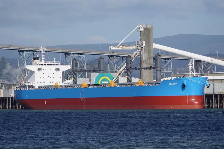 selena (Bulk Carrier) - IMO 9853515, MMSI 314484000, Call Sign 8PAS4 under the flag of Barbados