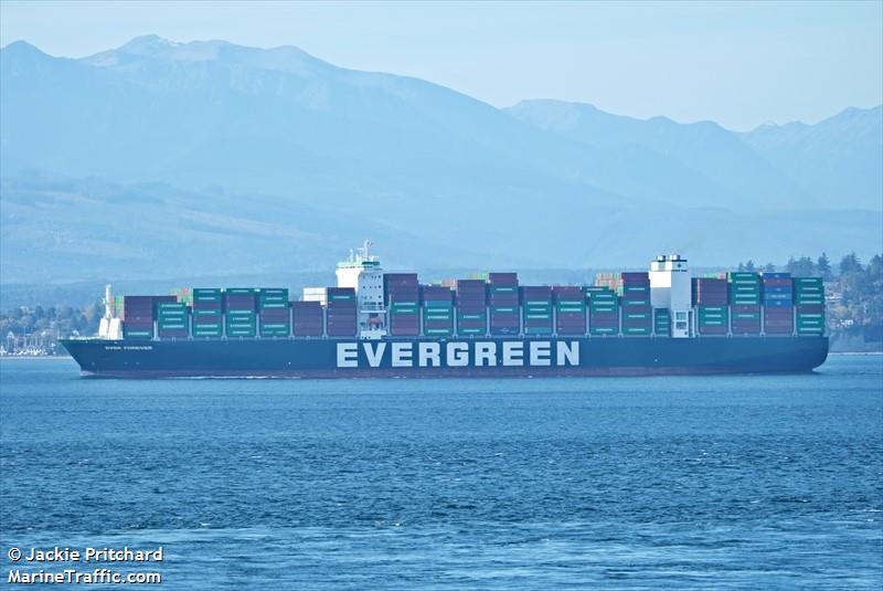 ever forever (Container Ship) - IMO 9850575, MMSI 351571000, Call Sign H3WC under the flag of Panama