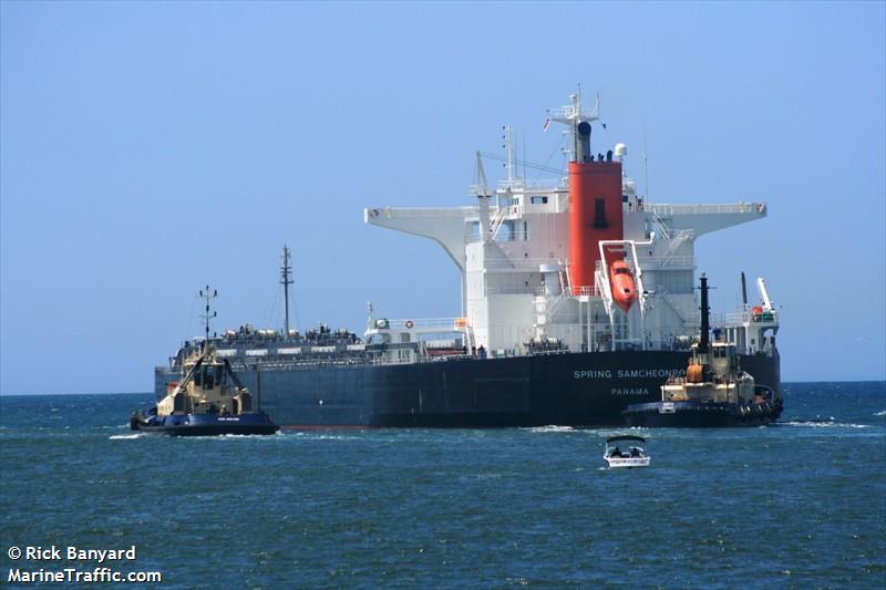 spring samcheonpo (Bulk Carrier) - IMO 9424235, MMSI 353738000, Call Sign 3FNG4 under the flag of Panama