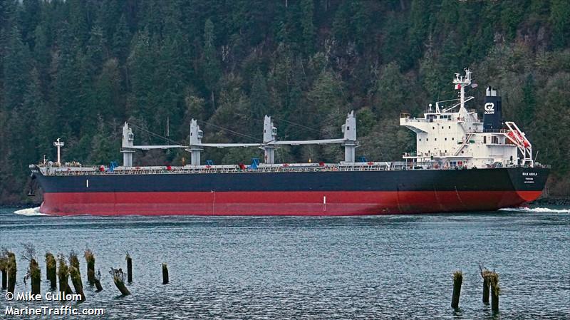 bulk aquila (Bulk Carrier) - IMO 9725574, MMSI 354934000, Call Sign 3FIG5 under the flag of Panama